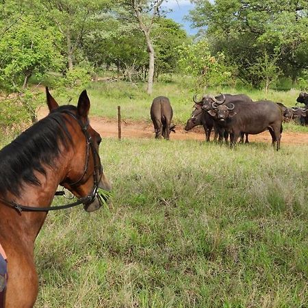 Wild Ride Safaris And Bush Camp Villa Hoedspruit Kültér fotó