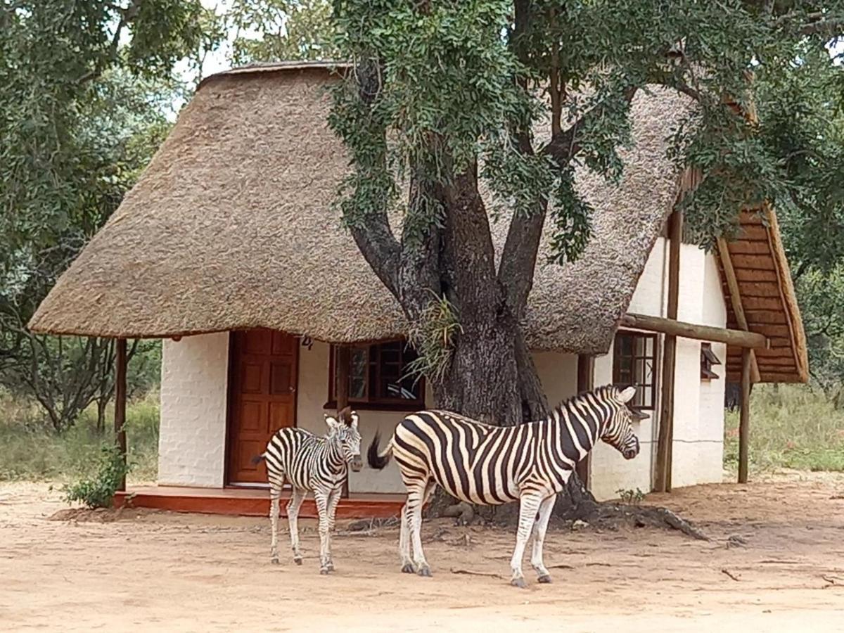 Wild Ride Safaris And Bush Camp Villa Hoedspruit Kültér fotó