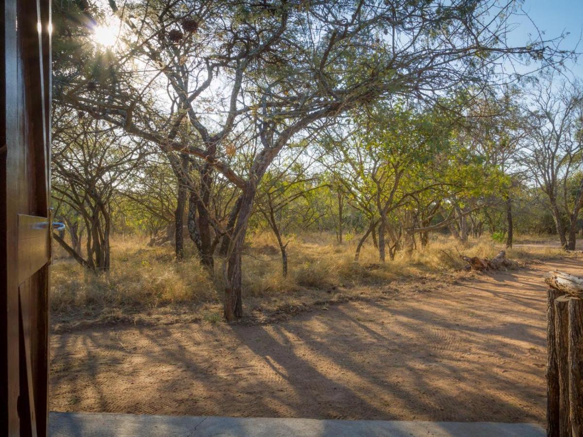 Wild Ride Safaris And Bush Camp Villa Hoedspruit Kültér fotó