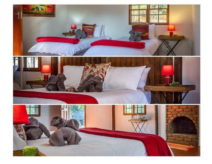 Wild Ride Safaris And Bush Camp Villa Hoedspruit Kültér fotó