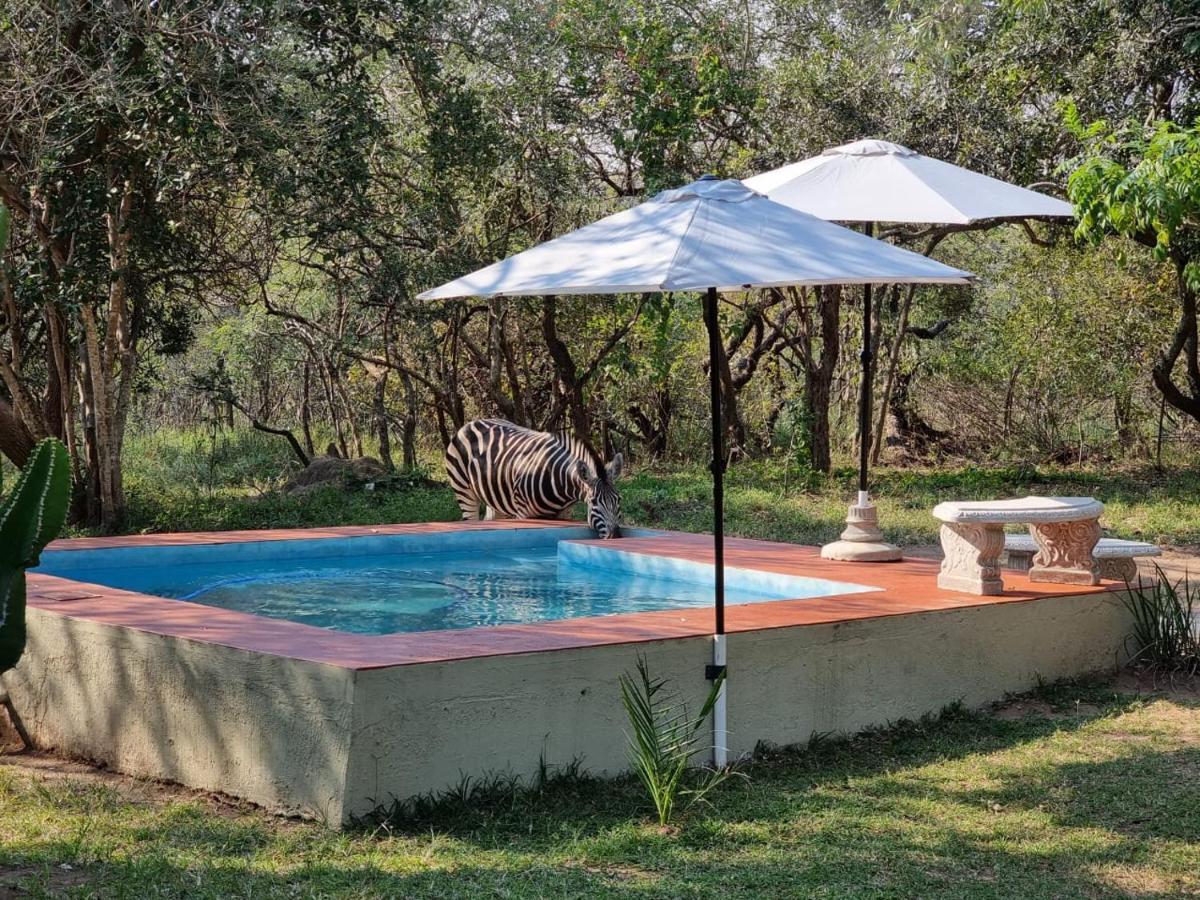 Wild Ride Safaris And Bush Camp Villa Hoedspruit Kültér fotó