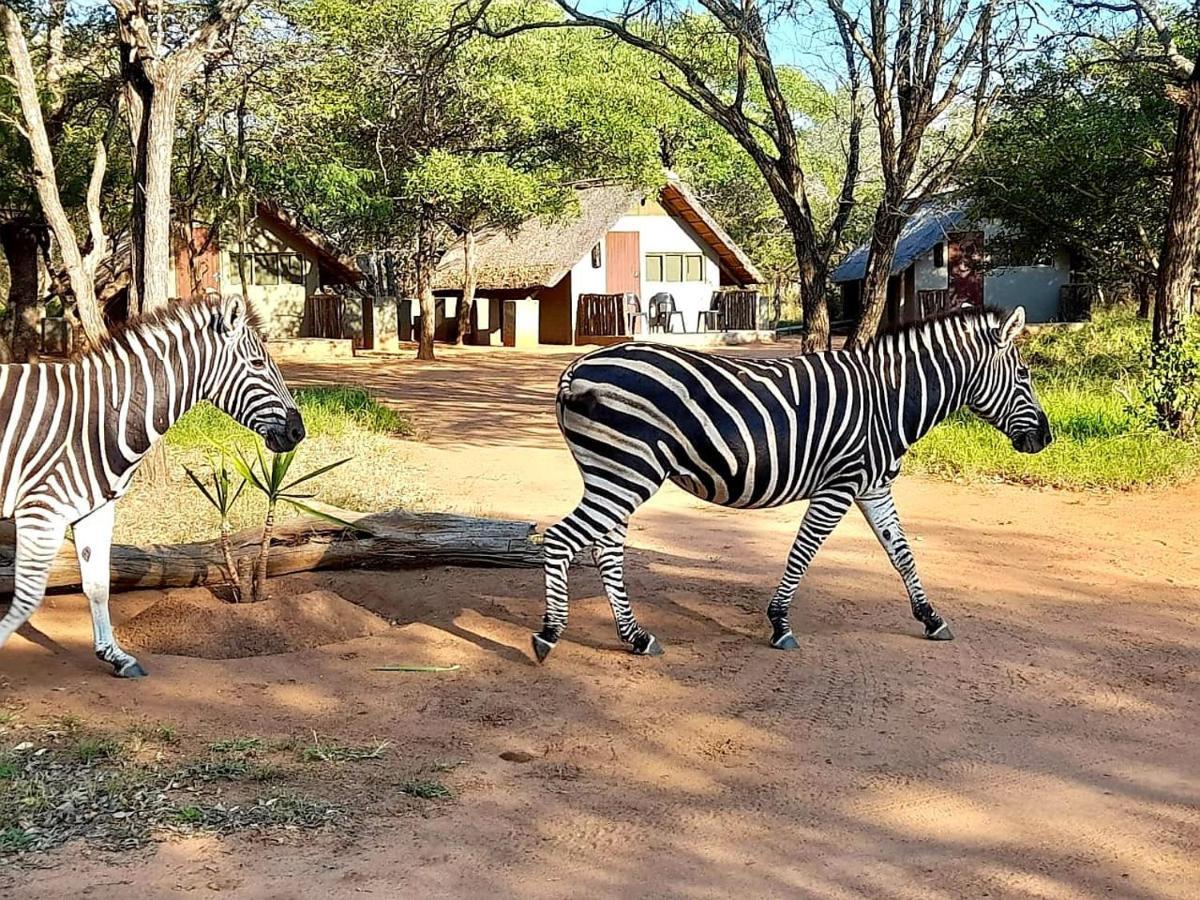 Wild Ride Safaris And Bush Camp Villa Hoedspruit Kültér fotó